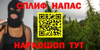 меф Кингисепп