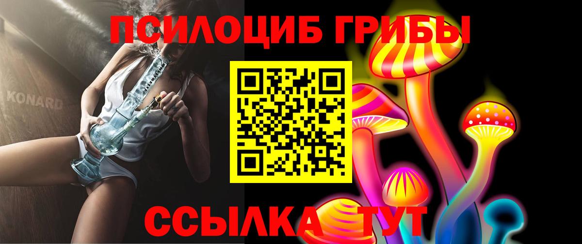 Вичуга  Псилоцибиновые грибы мицелий  хочу наркоту  Вход с VPN 